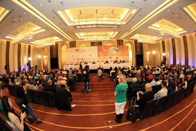 Beirut will host the race of Sheikh Mansoor in May 2016